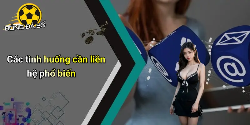 Liên hệ 2 Liên Hệ