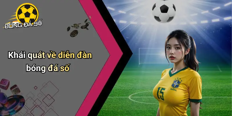 Bóng đá số 67 Bóng đá số