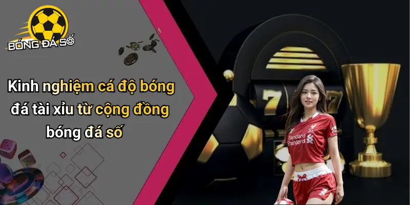 Luật Cá Độ Bóng Đá Tài Xỉu: Quy Định, Cách Chơi Và Mẹo Hay 4 Luật Cá Độ Bóng Đá Tài Xỉu