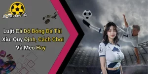 Luật Cá Độ Bóng Đá Tài Xỉu