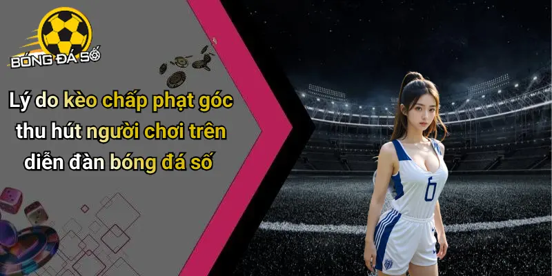Kèo Chấp Phạt Góc: Hướng Dẫn Đọc Kèo Và Bắt Chuẩn Nhất 2 Kèo Chấp Phạt Góc