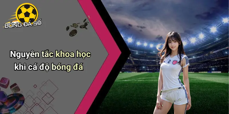 Công Thức Cá Độ Bóng Đá Chuẩn Xác, Tỷ Lệ Thắng Cao 1 Công Thức Cá Độ Bóng Đá