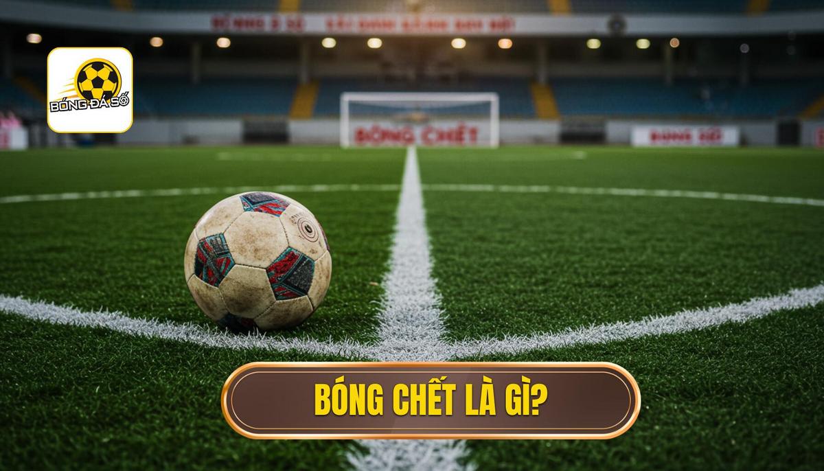 Bóng chết là gì