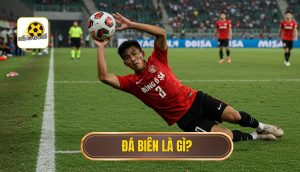 Đá biên là gì