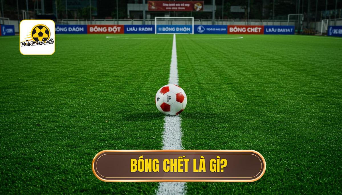 Định Nghĩa Chi Tiết_ Bóng Chết Là Gì