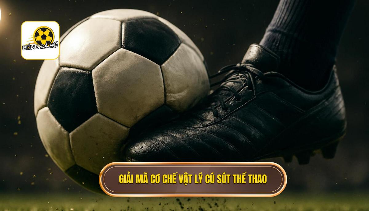 Kỹ thuật sút bóng bằng đầu gối trái: Phân tích chuyên sâu về vũ khí bí mật trong bóng đá 2 Giải mã Cơ chế vật lý của cú sút đầu gối