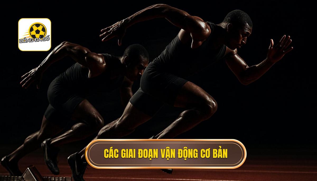 Các Giai Đoạn Vận Động Chi Tiết