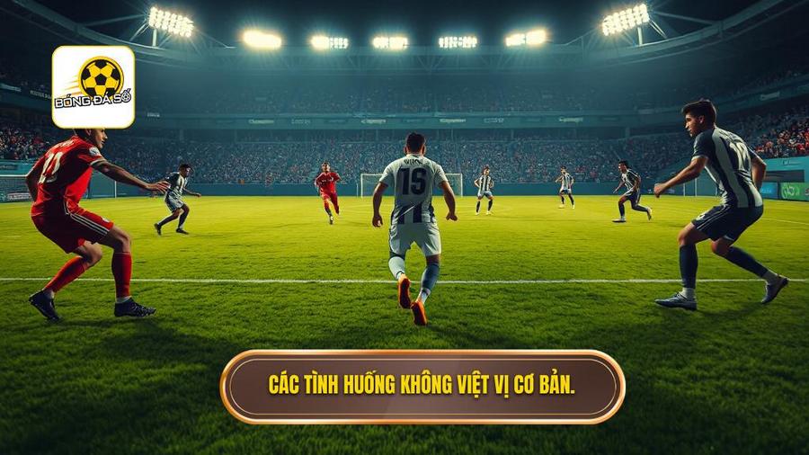 2. Các tình huống không việt vị cơ bản.