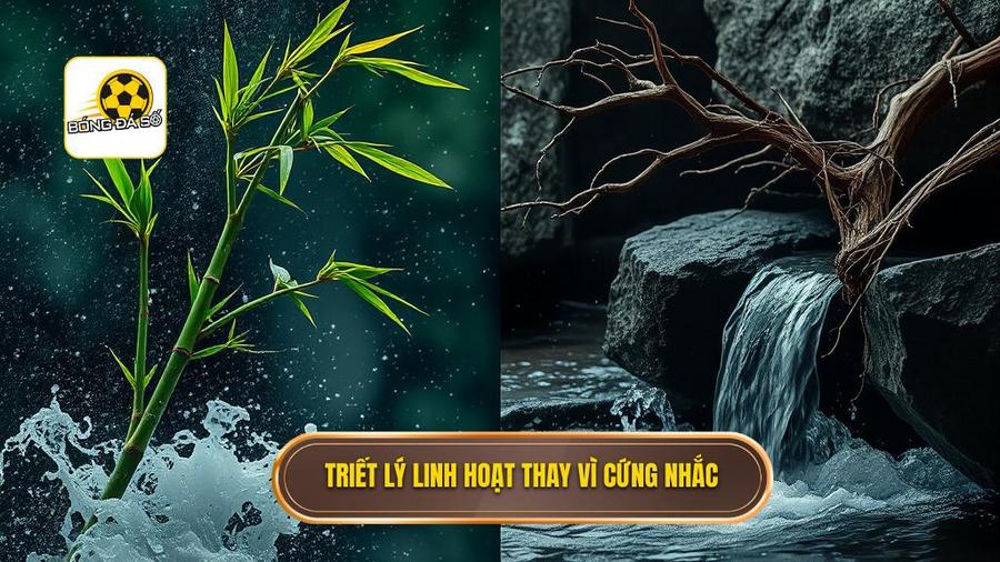 Triết lý cốt lõi: Sự linh hoạt thay vì sự cứng nhắc