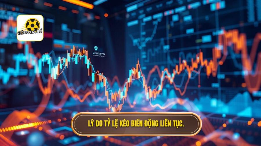 Lý do tỷ lệ kèo biến động liên tục.