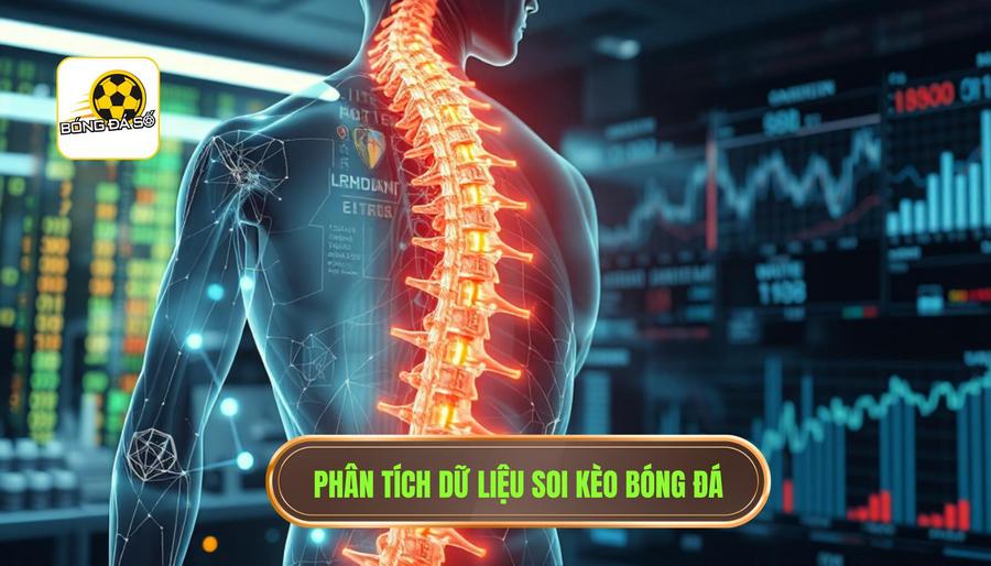 Phân tích dữ liệu - Xương sống của chiến thuật thắng kèo hiệu quả