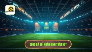 Nhận định trận hot hôm nay - Soi kèo bóng đá chuẩn từ BÓNG ĐÁ SỐ