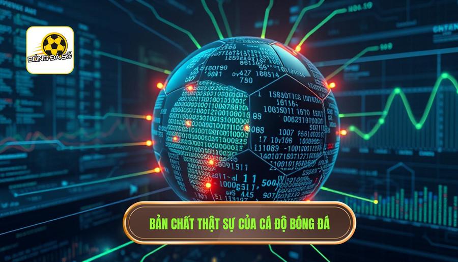 1. Bản chất thật sự của cá độ bóng đá