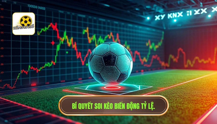 3. Bí quyết soi kèo biến động tỷ lệ.